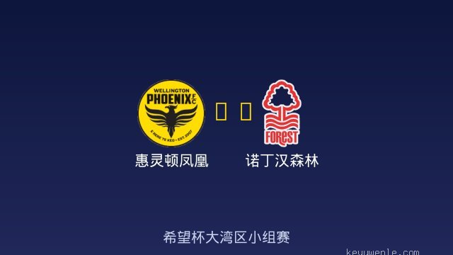 惠灵顿凤凰 vs 诺丁汉森林 全场录像