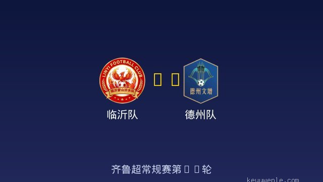 临沂队 vs 德州队 全场录像